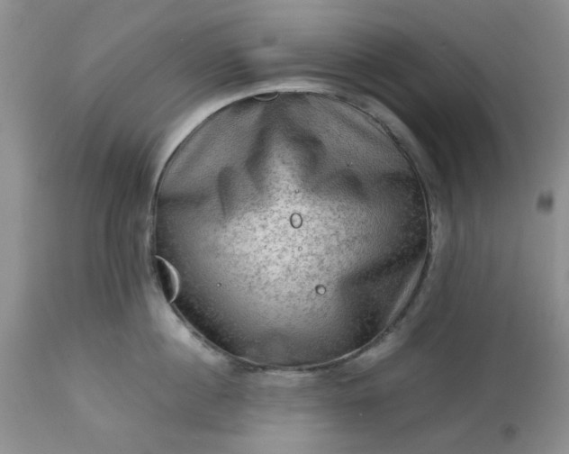 X0000113590860200910021715