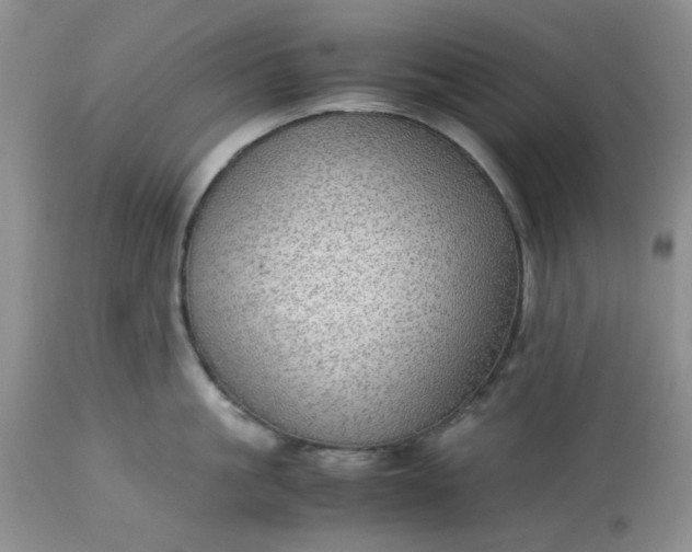 X0000113590861200910021715