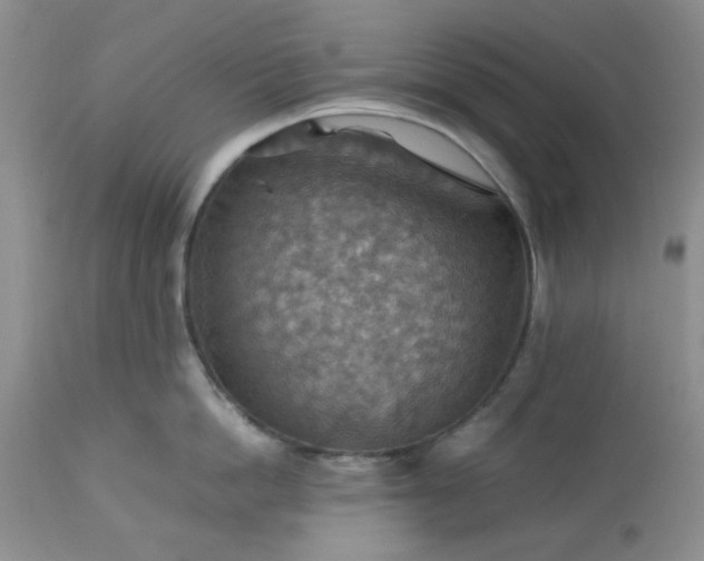 X0000113590862200910021715