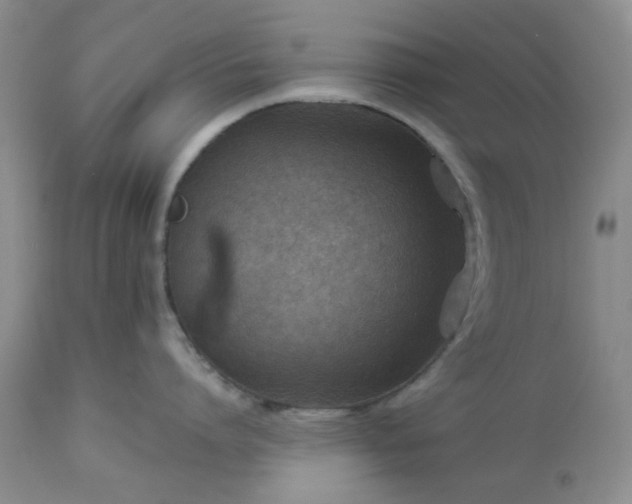 X0000113590864200910021715