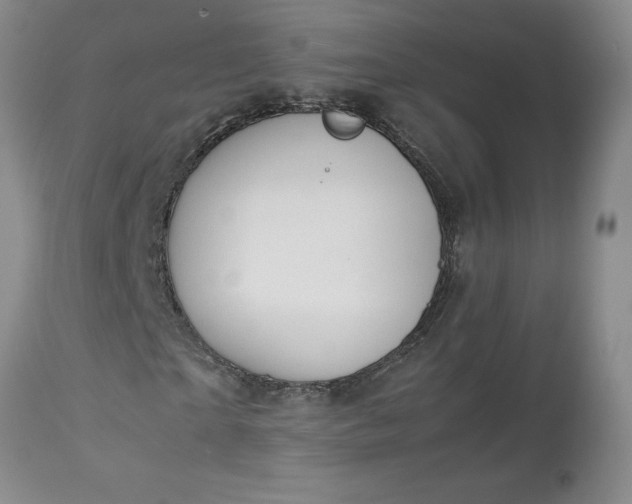 X0000113590865200910021714