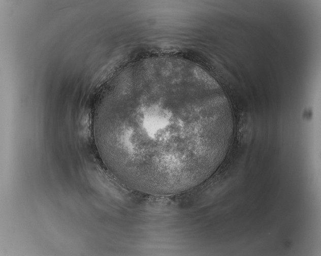 X0000113590866200910021714