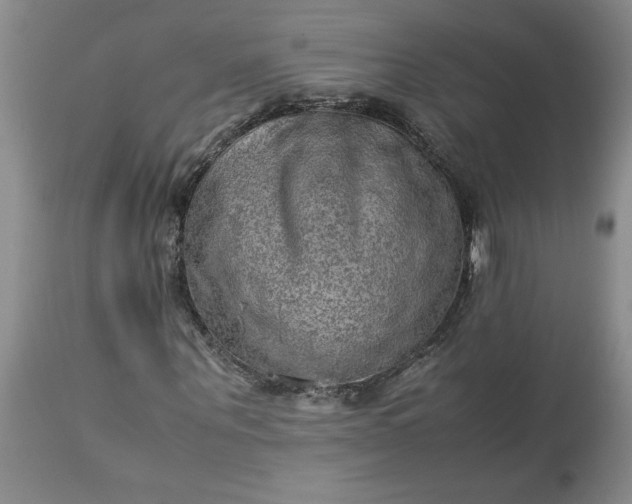 X0000113590867200910021714