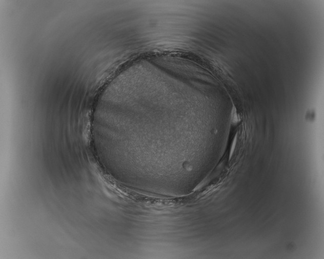 X0000113590868200910021714