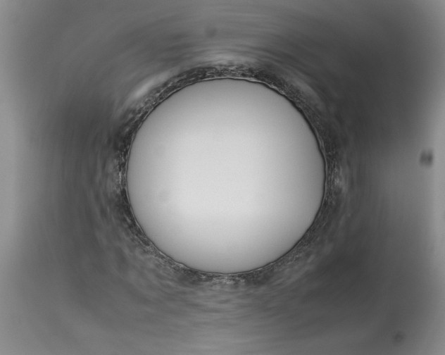 X0000113590869200910021714