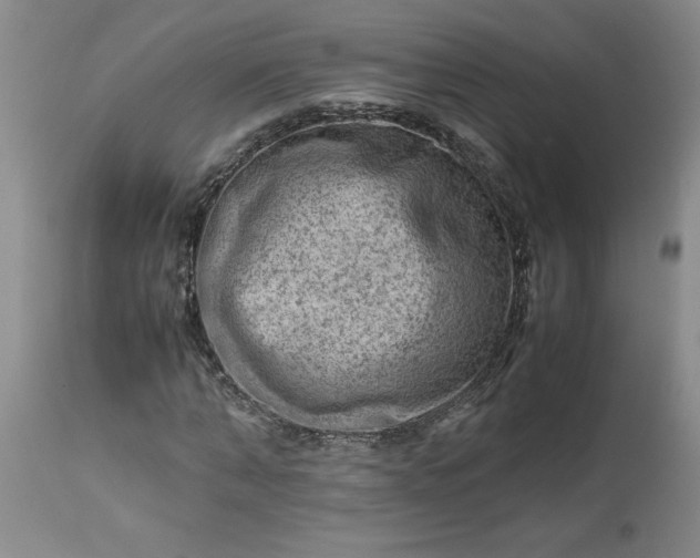 X0000113590870200910021714