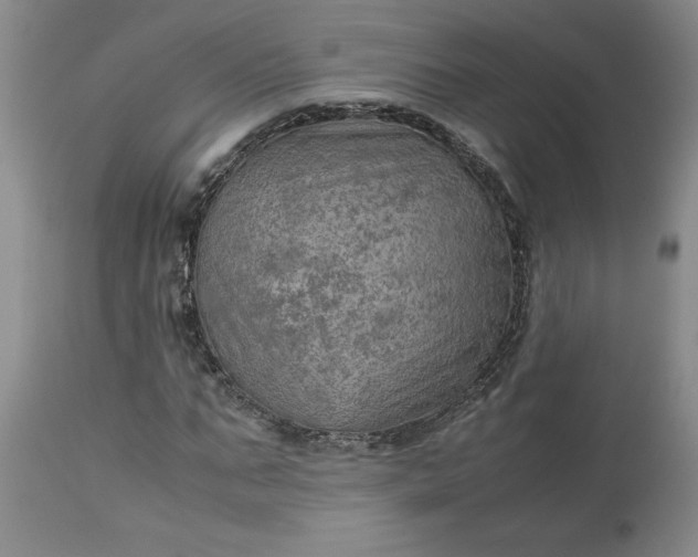 X0000113590871200910021714