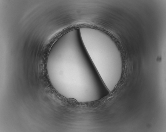 X0000113590872200910021714