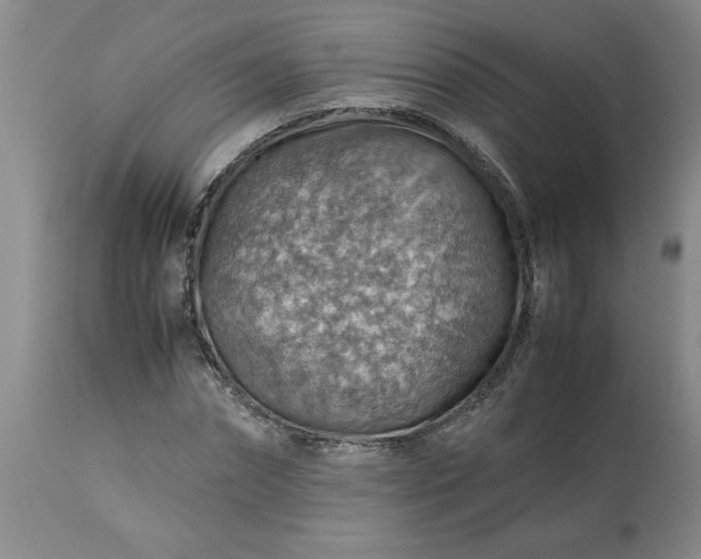 X0000113590874200910021714