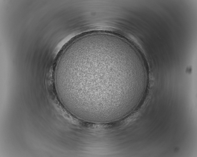 X0000113590875200910021714