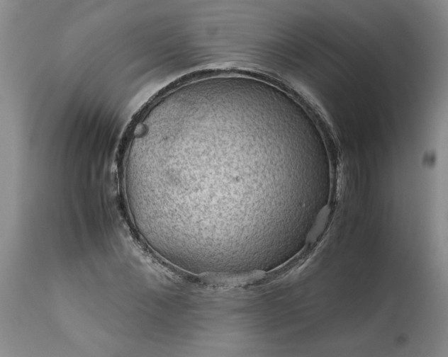 X0000113590876200910021714