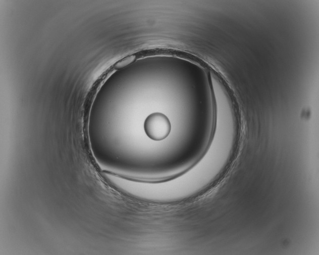 X0000113590877200910021714