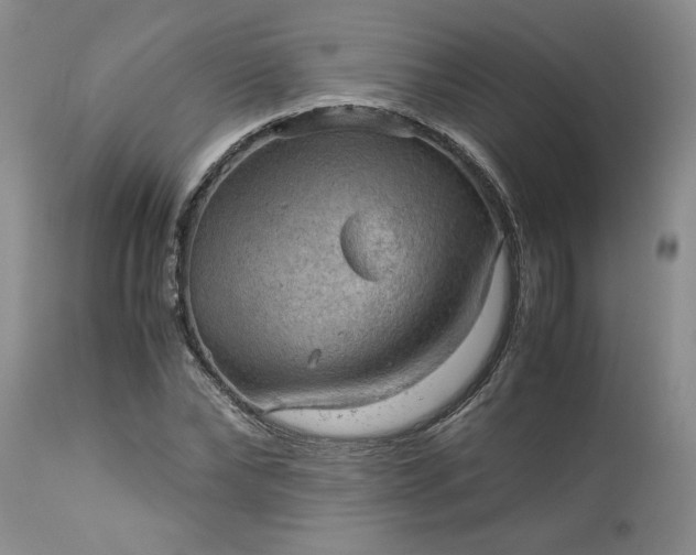 X0000113590878200910021714