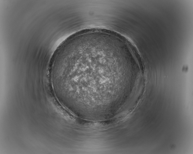 X0000113590879200910021714