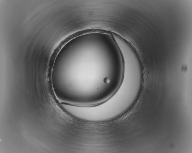 X0000113590880200910021714