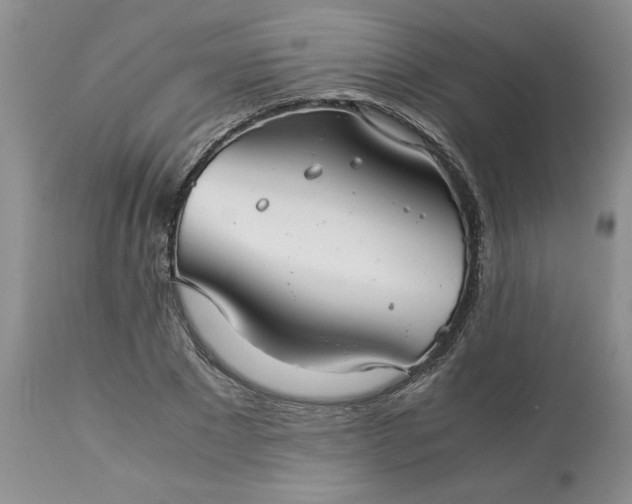 X0000113590881200910021714