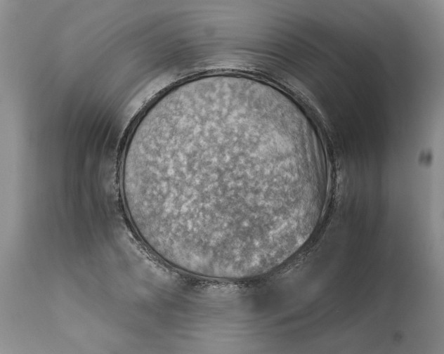 X0000113590882200910021714