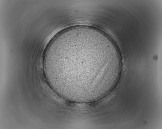 X0000113590883200910021714