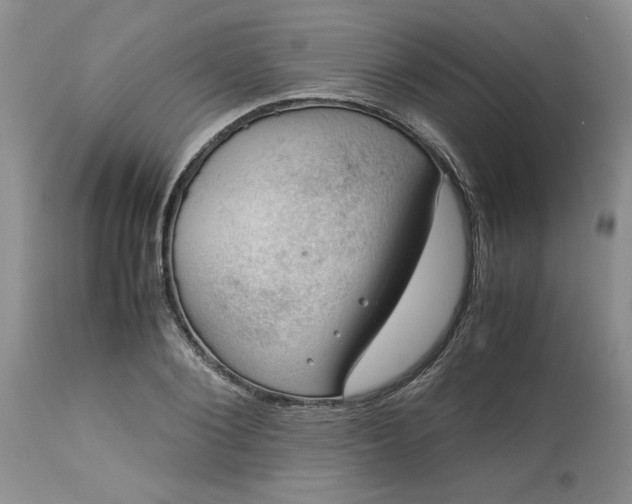 X0000113590884200910021714