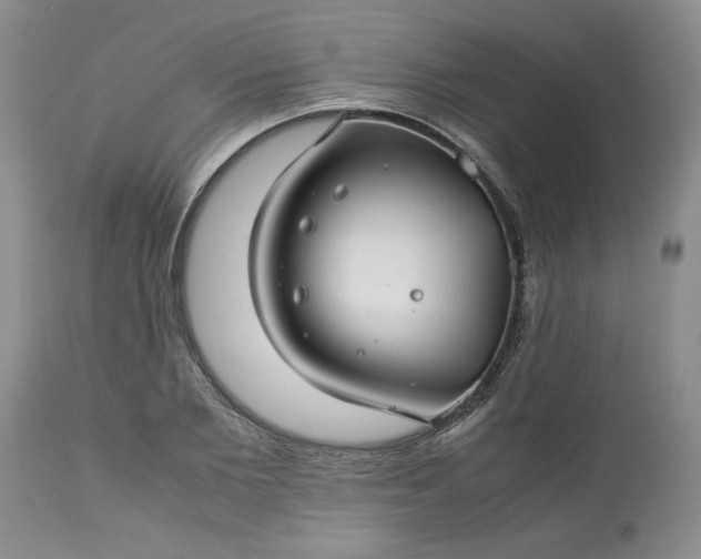 X0000113590885200910021714