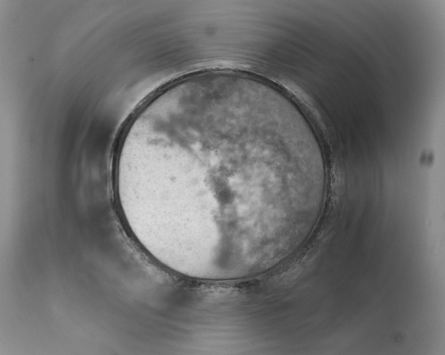 X0000113590886200910021714