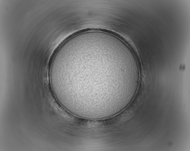 X0000113590887200910021714