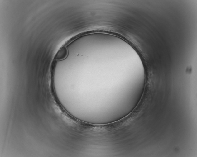 X0000113590888200910021714