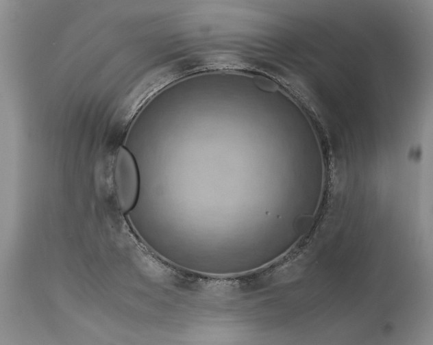 X0000113590889200910021714