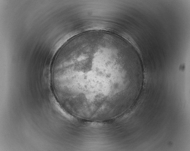 X0000113590890200910021714