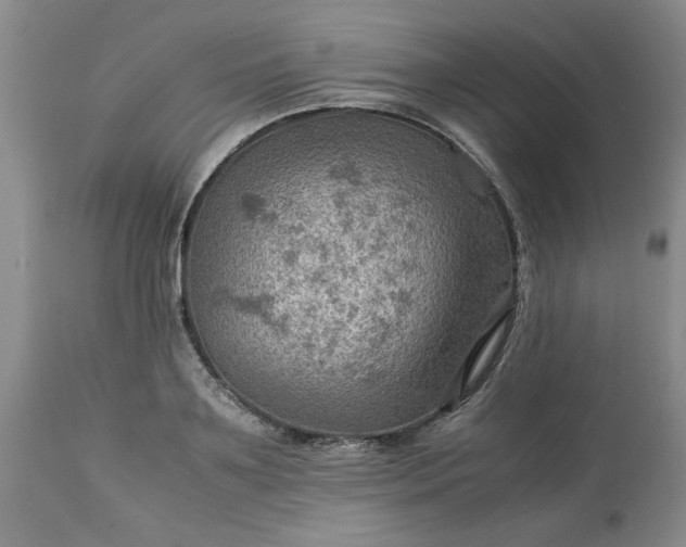 X0000113590891200910021714