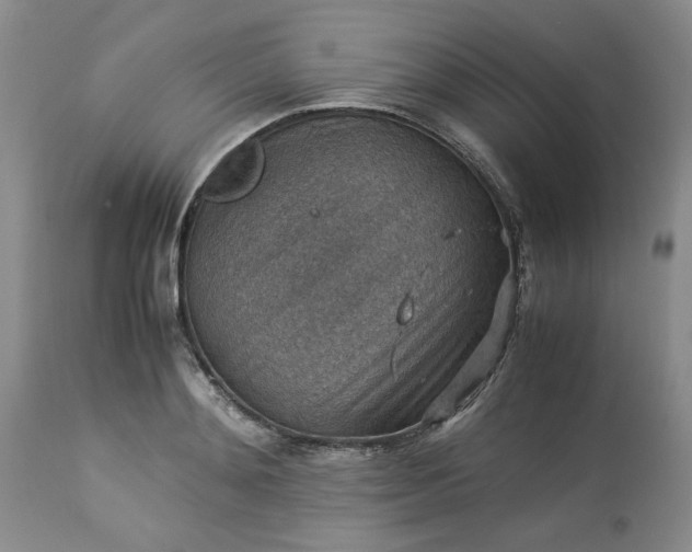 X0000113590892200910021714