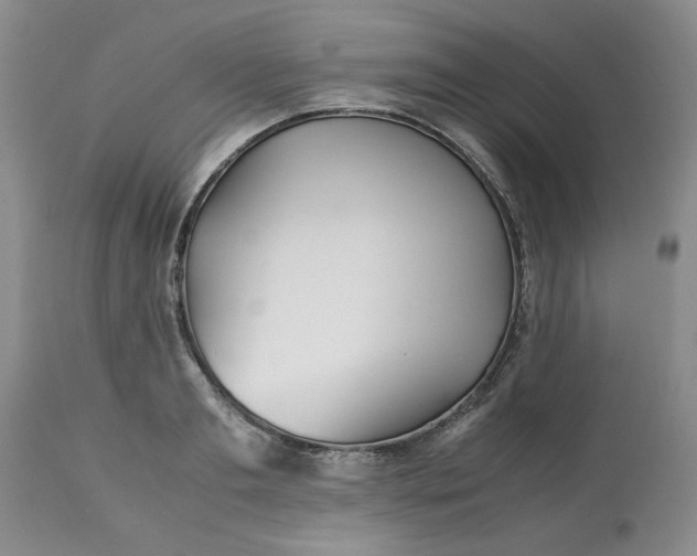 X0000113590893200910021714