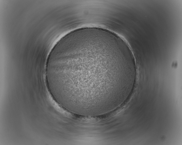 X0000113590895200910021714