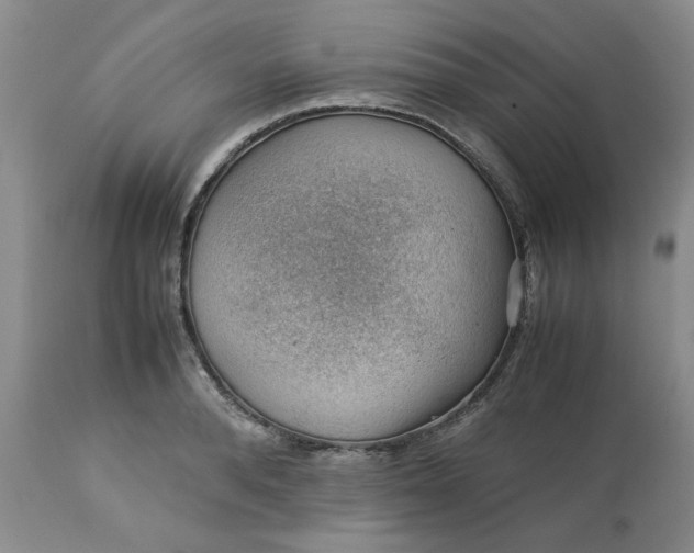 X0000113590896200910021714