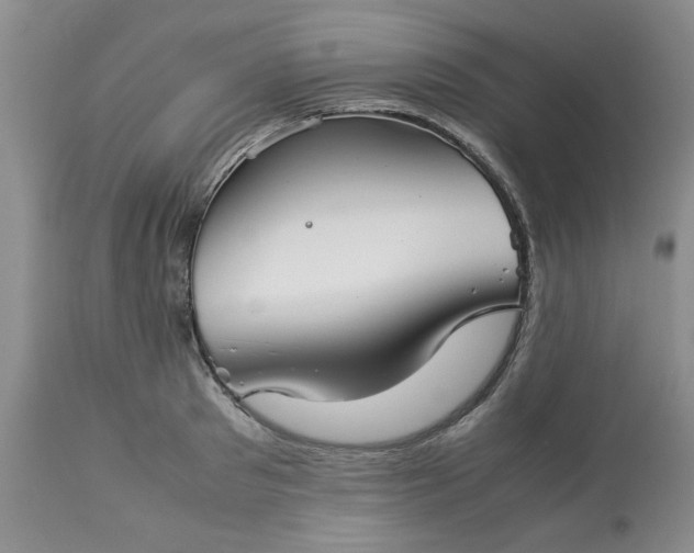 X0000113590897200910021714