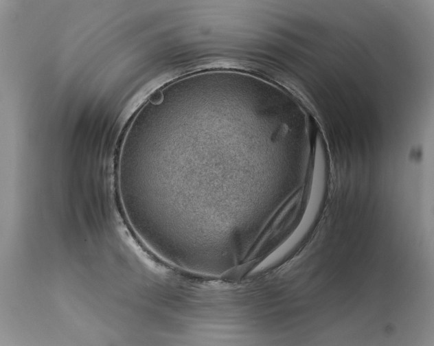 X0000113590898200910021714