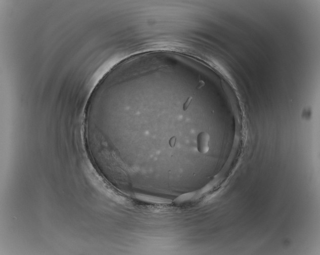 X0000113590899200910021714