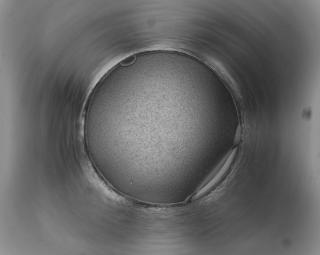 X0000113590900200910021714