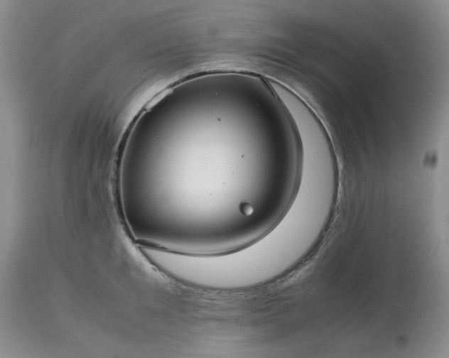 X0000113590901200910021714