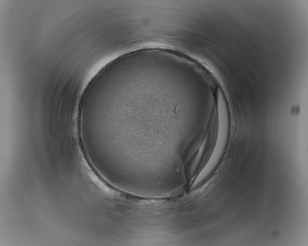 X0000113590902200910021714