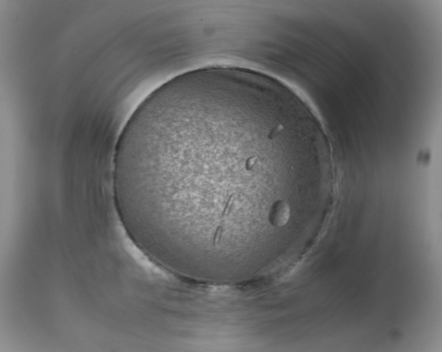 X0000113590903200910021714