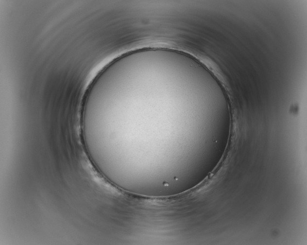 X0000113590904200910021714