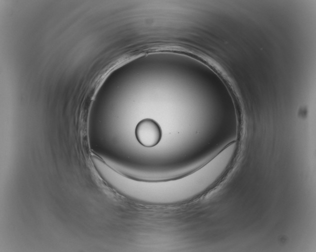 X0000113590905200910021714