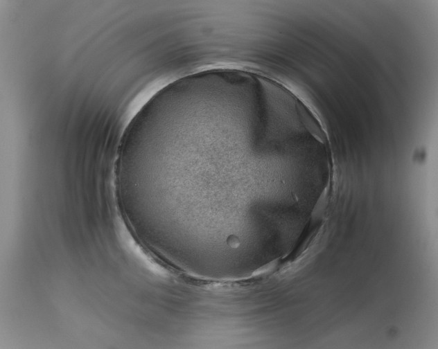 X0000113590906200910021714