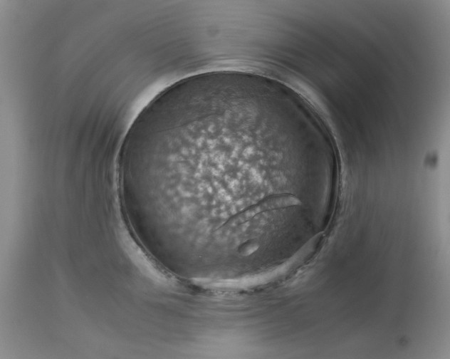 X0000113590907200910021714