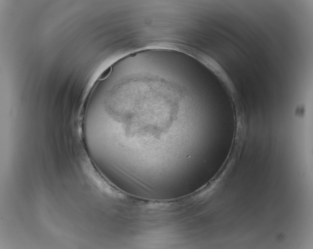 X0000113590908200910021714