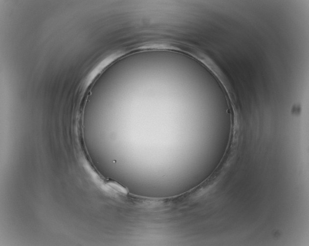 X0000113590909200910021714