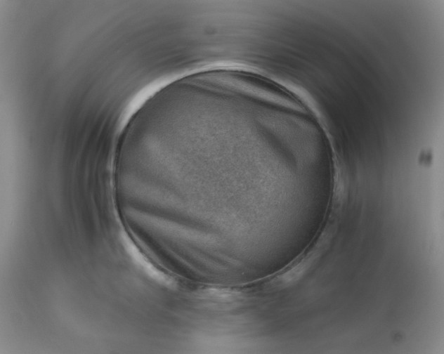 X0000113590910200910021714