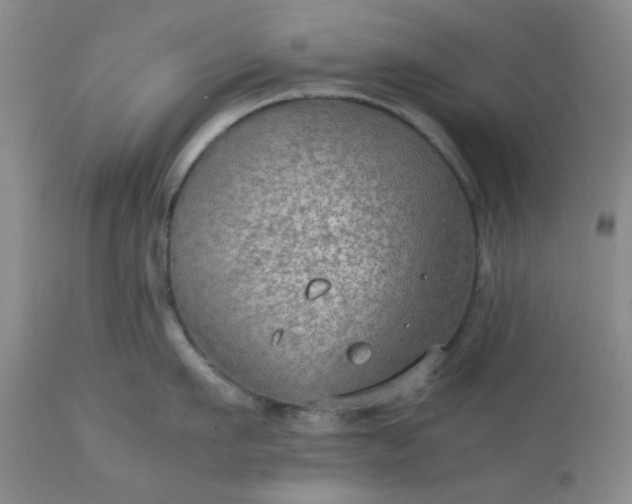 X0000113590911200910021714