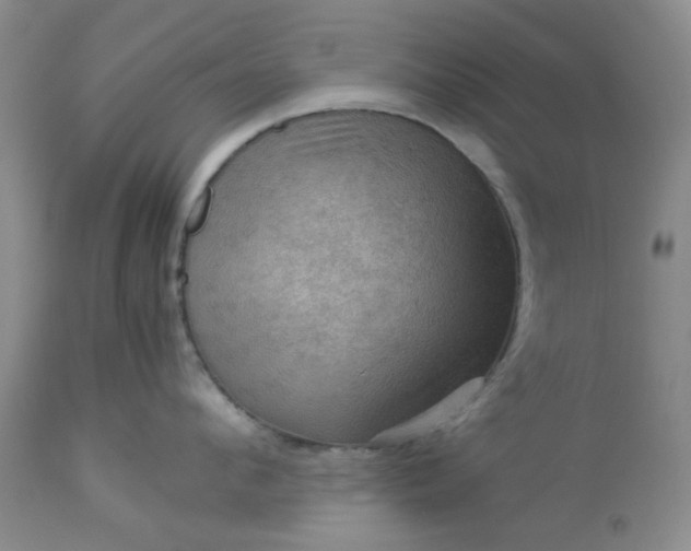 X0000113590912200910021714